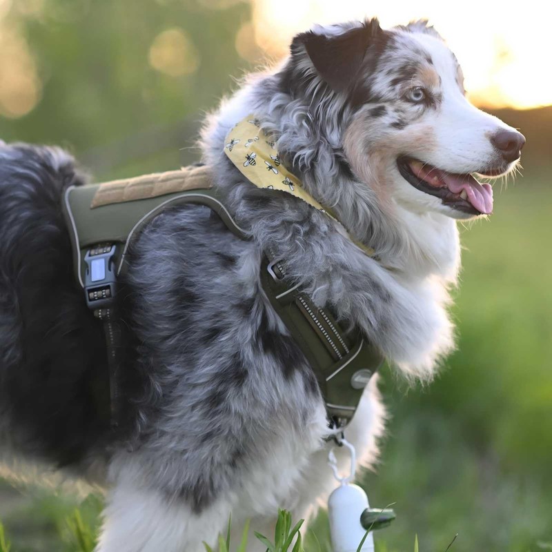 AUROTH Tactical Dog Harness for Large Dogs No Pull Adjustable