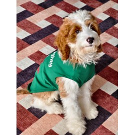 Fitwarm Naughty or Nice Christmas Dog Shirt, Dog Christmas Outfit for Small Dogs Boy Girl, Funny Doggy Tshirt, Pet Outfit, Green, Red, White, XL