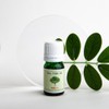 Skinbolic Spot Troubled Skin Tea Tree Essential Face Oil 5ml