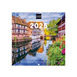 Finocam - Illustrated Wall Calendar International 2025 Month to View January 2025 to December 2025 (12 Months) Charming International