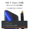 USB Type C short wire (USB 3.1 standard 5.4 inch