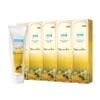 Atomy [KL STOCK]Atomy Green Tea Extract & Propolis Toothpaste 200