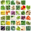 Maazel Maazel Soup Smoothie with 34 Vegetables & Rice Koji,