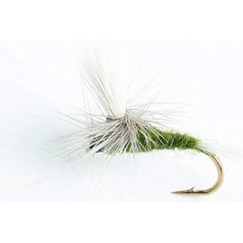 Blue-Winged Olive Parachute Dry Fly, 6 Pack (#16)