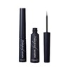 Pro Lance Eyeliner Waterproof Brush Pen 5ml / 프로 랑스 아이라이너 워터 프루프 붓펜 5ml