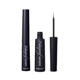 Pro Lance Eyeliner Waterproof Brush Pen 5ml / 프로 랑스 아이라이너 워터 프루프 붓펜 5ml