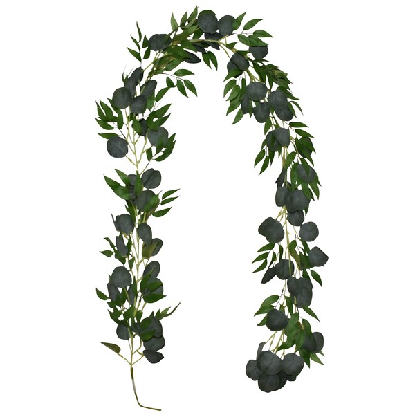 6' Eucalyptus Silver Dollar Garland (Pack of 2) - 6'