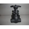 Bonney Forge Gate Valve 1" Class 800 , 01975 PSI