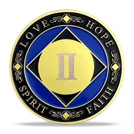 2 Year NA Medallion Gold Plated Narcotics Anonymous Coins Birthday Anniversary Token Recovery Gift