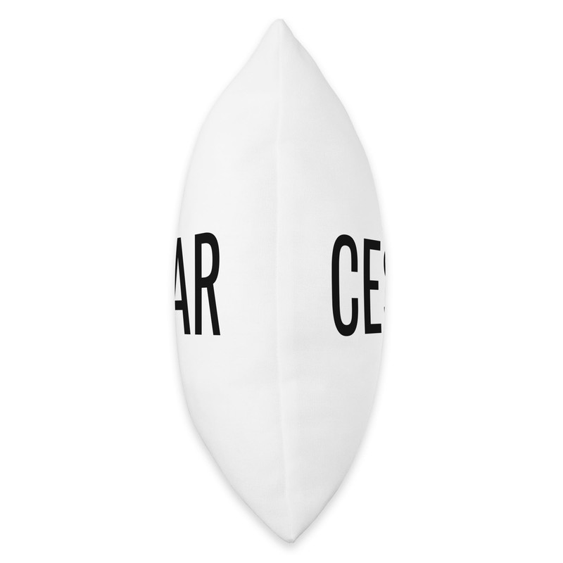 Cesar Throw Pillow