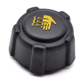 HAOTOM Coolant Tank Cap for Dacia Dokker Duster Logan Sandero for Nissan Juke NV200 NV400 Qashqai for Opel Movano Vivaro for Renault Clio Kadjar Captur Espace