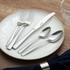faderic 6 Pieces Dinner Knives set, 9 Inches Stainless Steel