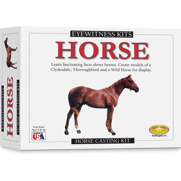 Eyewitness Kits Perfect Cast Horses Cast, Paint, Display and Learn
