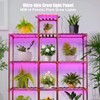 Grow Lights for Indoor Plants,300LEDs Full Spectrum Red Bule Grow