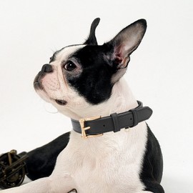 blu&ben Leather Dog Collars Classic Soft Padded Leather Stylish Breathable Collar for Small Medium Large Dogs