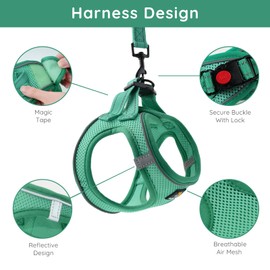 BELLA & PAL Step in Vest Harness for Small and Medium Dogs, No Pull Small Dog Harness with Leash Set, Comfortable Air Mesh Dog Vest Harness with Reflective Strip (Emerald, L)