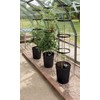Garland Self Watering Grow Pot Tower - Anthracite