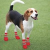 Anti Slip Dog Socks Boots, Dog Shoes for Paw Protection,