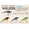 Rebel Lures S60517 Raider - Citrus Shad, 1 5/8", 1/8