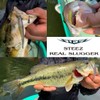 Daiwa Bass Worm Steez Real Slugger 3" Chart Pearl Shad