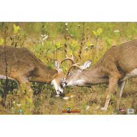 NiceTargets Battle Bucks 28" x 40" Recyclable Plastic Weather Resistant Target TNTDeer7BB