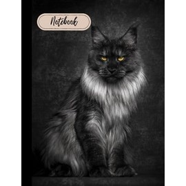 maine coon cat notebook: Maine coon notebook journal for girls