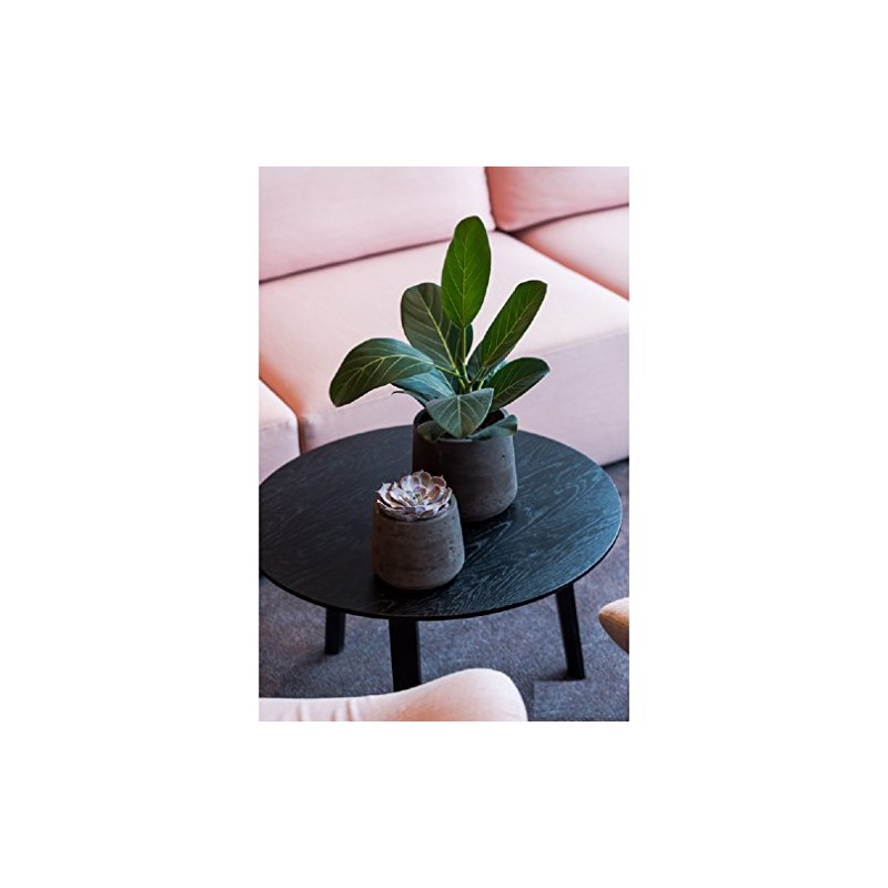 Petite Black Planter 6" H x 7" - Black Washed