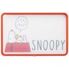 Skater KTMT1AG-A Chopping Board AG+ Antibacterial 21 x 32.5 cm