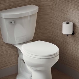 Border Round Closed-Front Toilet Seat with Soft Close and Quick Release