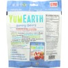 YumEarth Snack Packs Organic Gummy Bears 5 (0.7 oz.) individual