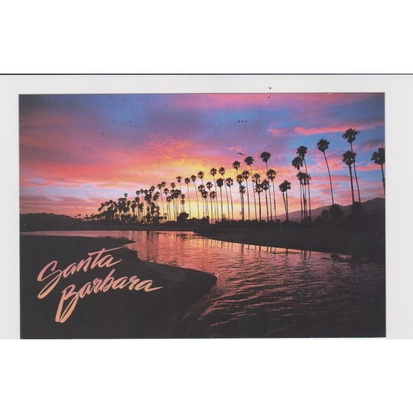SBPC820-11i PALM TREES [ ONE 1 CARD ] LINE THE