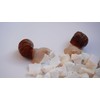 Begeterday Cuttlebone for Snails, Snail Terrarium Supplies