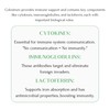 Mt. Capra Goat Milk Colostrum | for Healthy Immune System,