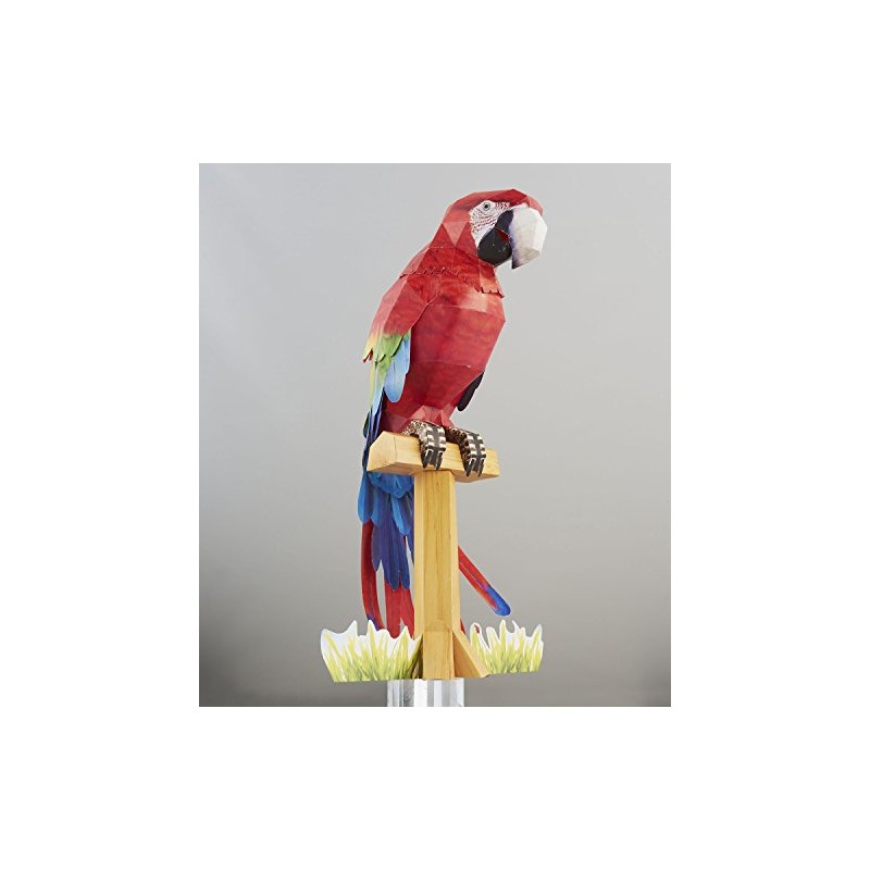 HAPPY PAPER コンゴウインコ