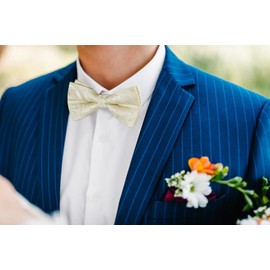 HISDERN Bow Tie with Pocket Square for Men Plain Adjustable Tuxedo Bow Tie for Wedding Party, K Champagne 1