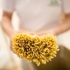 Rustichella d'Abruzzo Farro Pizzichi Pasta - 500g Nutty Flavored Short