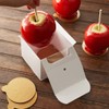 Apple Candy Containers - 12 Paper Candy Apple Sticks +