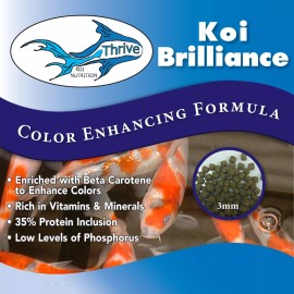 Anjon Thrive Koi Brilliance All Seasons Color Enhancing Koi Food - 10 pounds