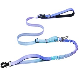 Heavy Duty Hands Free Dog Leash with Quick Release Carabiner and Adjustable No Pull Bungee Dog Running Waist Leash，for Walking and Training with Car Seat Belt 4-6FT (Aurora Purple)