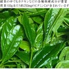 Kiyosen Uji Tea Gift Gyokuro Sencha Japanese Pattern Cans (120g/4.2oz×2