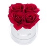 Relaxdays Round Rose Box, 4 Roses, Flower Box, White, Long