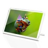 Classic Rectangle Magnet with Stand - Javan Tree Frog Flying