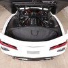 Hardtop Removable Roof Panel Storage Bag Compatible with Corvette C8