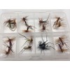 BestCity Fly Fishing Flies HOPPERS 16 Fly Selection + FREE