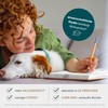 The 6-minute diary, 6 minutes daily for more mindfulness, self-love