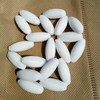 Varillas magnéticas para agitar mezclador PTFE (9 x 25 mm,