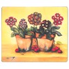 Lady Clare Auricula Coasters - Set of 6