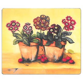 Lady Clare Auricula Coasters - Set of 6