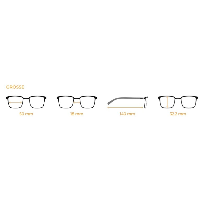 Generisch Dilem original glasses OG169 with interchangeable temples CB212 -