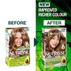 Garnier Nutrisse Hair Colour 6.3 Praline